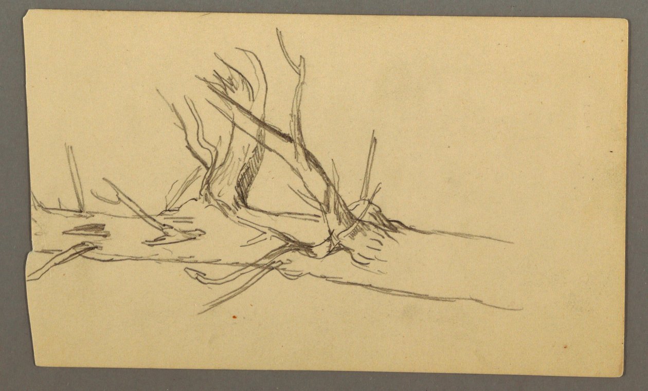 Middle Section of a Dead Tree Trunk by Frederic Edwin Church