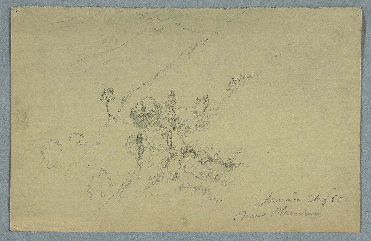 Road through the Blue Mountains, near Homestead, Jamaica by Frederic Edwin Church