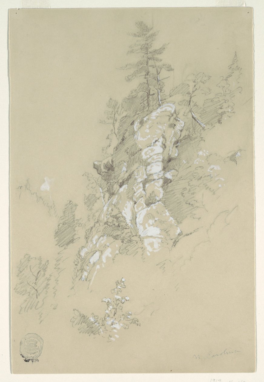 Rocky Hillside, North Carolina by Frederic Edwin Church
