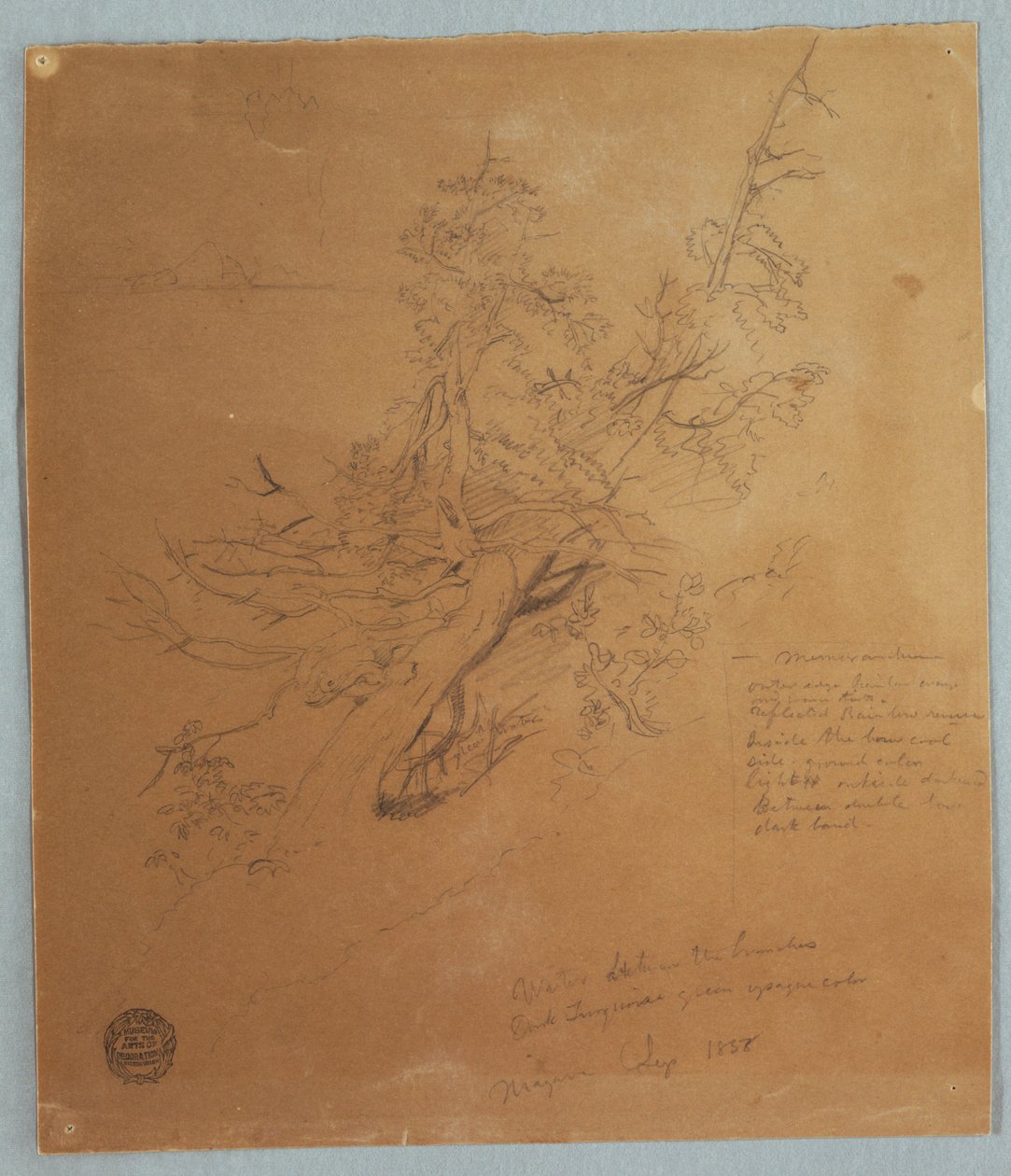 Rugged Tree at the Canadian Bank below Niagara Falls by Frederic Edwin Church