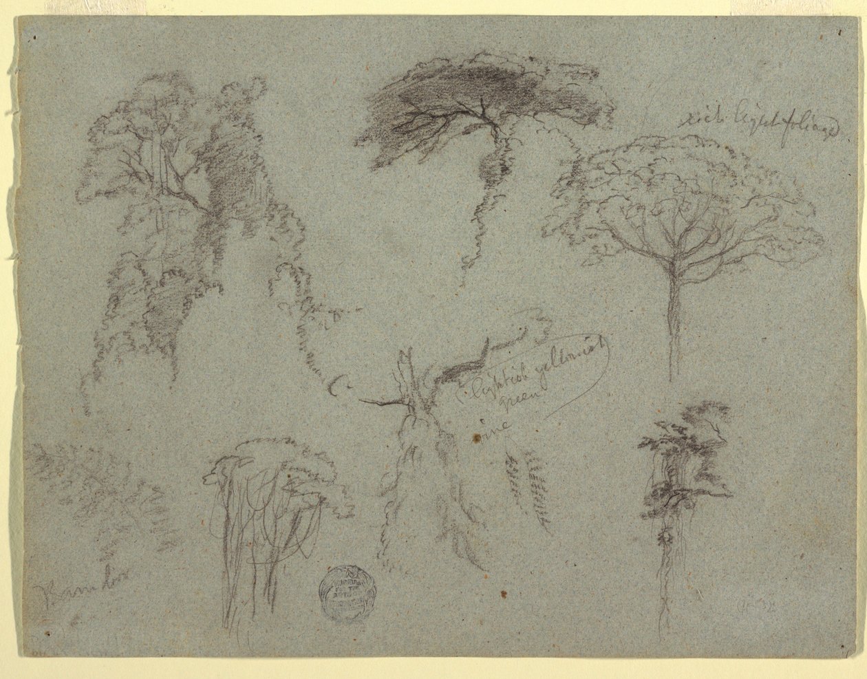 Studies of Trees, Ecuador by Frederic Edwin Church