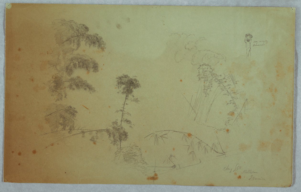 Studies of Trees with Details of Bamboo and a Small Detail of a Man Carrying Bananas on His Head, Bellevue, Jamaica by Frederic Edwin Church