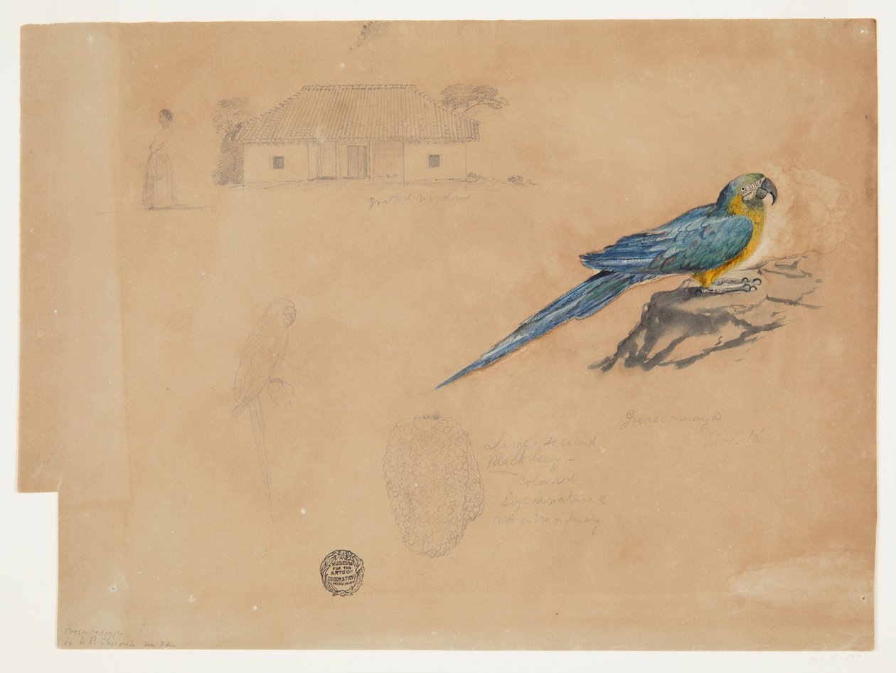Study of Guacamaya, Bogotá, Colombia by Frederic Edwin Church