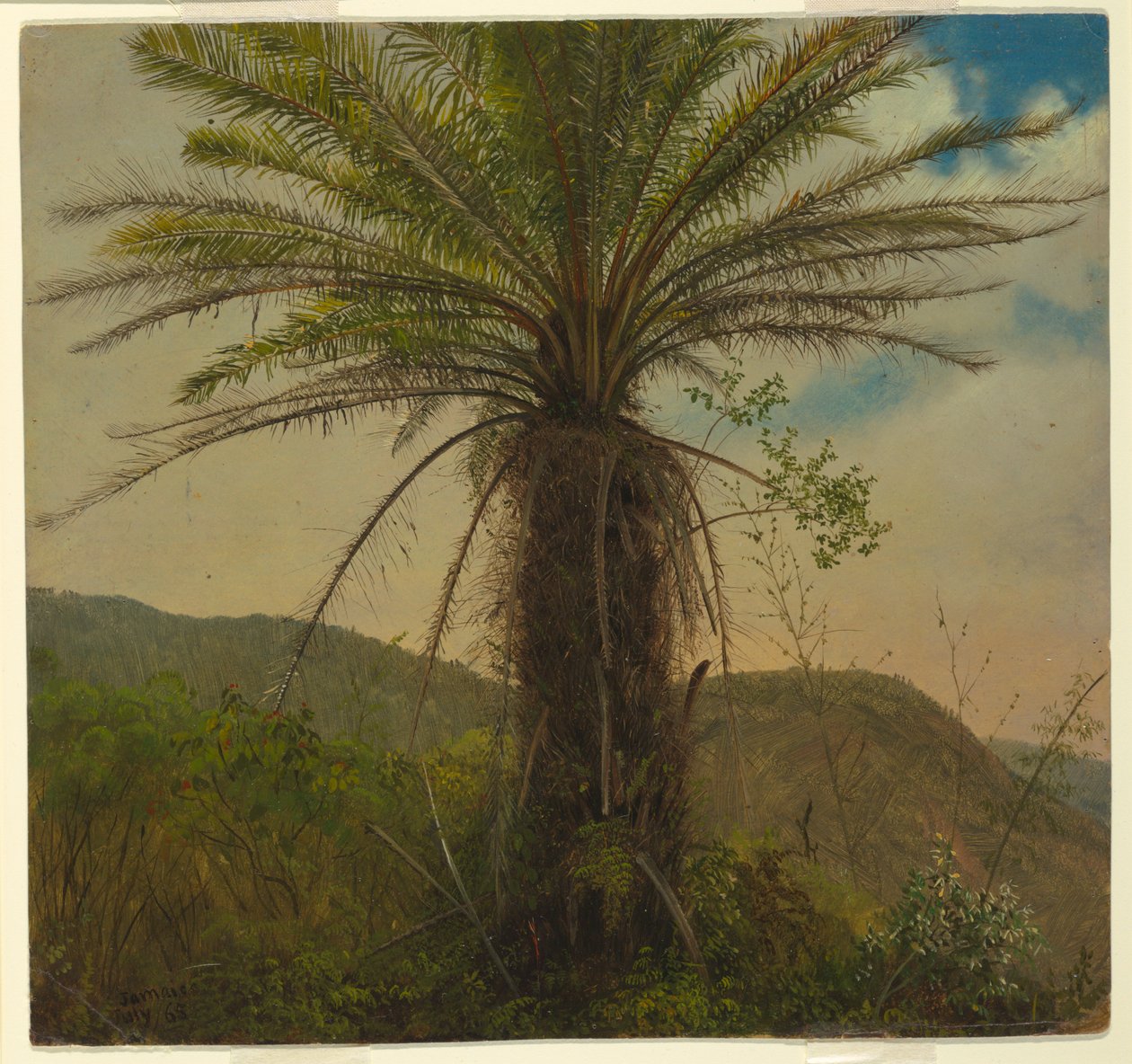 Tree Fern, Jamaica by Frederic Edwin Church