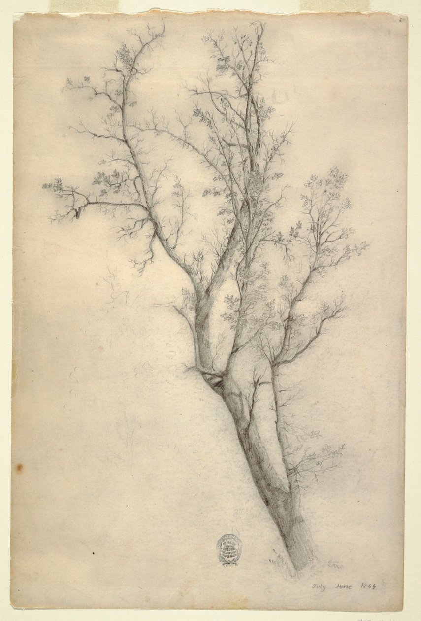 Tree with Many Boughs by Frederic Edwin Church