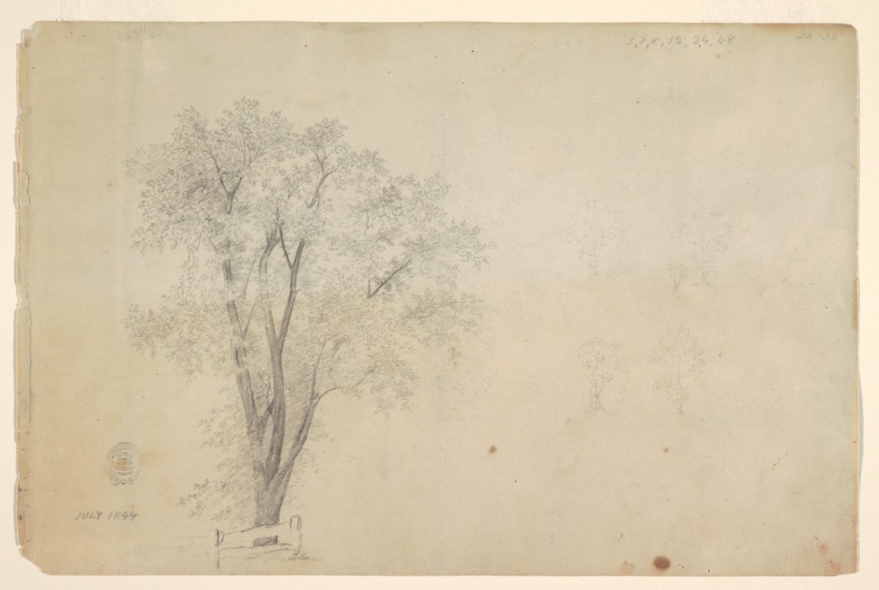 Trees by Frederic Edwin Church