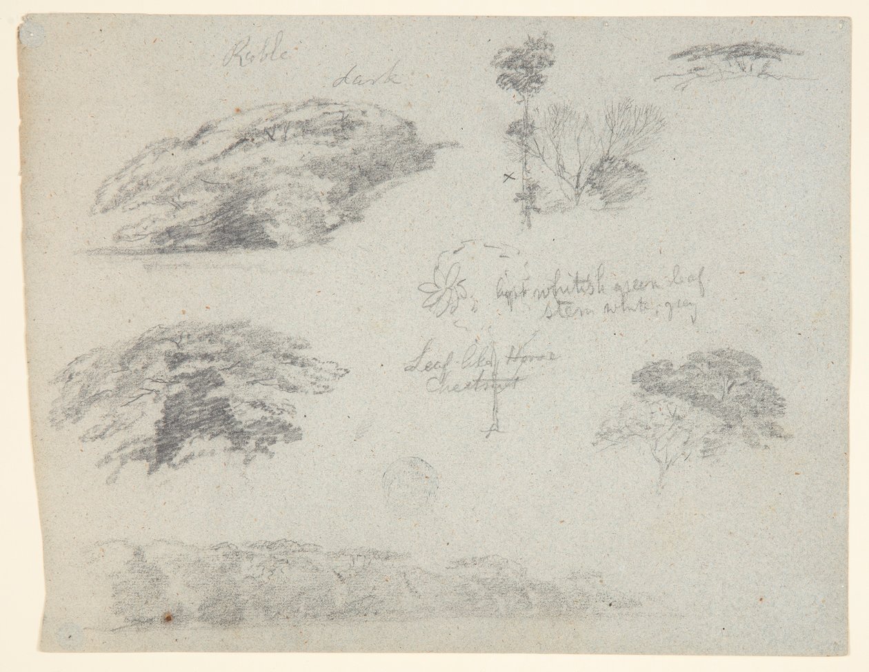Trees, Tree Tops, and a Wooded Bank, Saddleback, Maine by Frederic Edwin Church