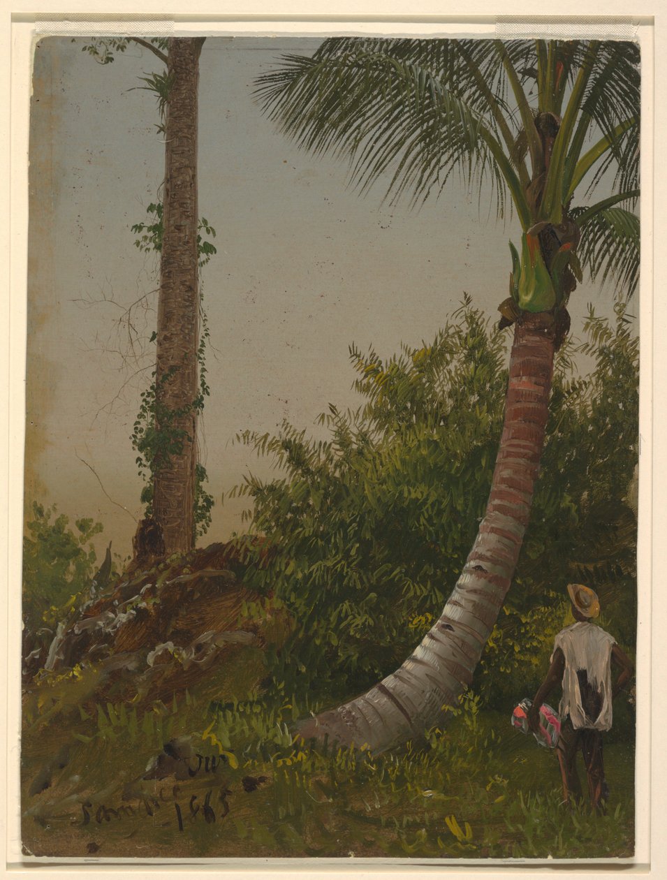Trees in Jamaica, West Indies by Frederic Edwin Church