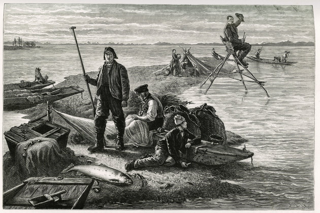 Salmon fishing. Engraving by F.Lix, to illustrate the story 