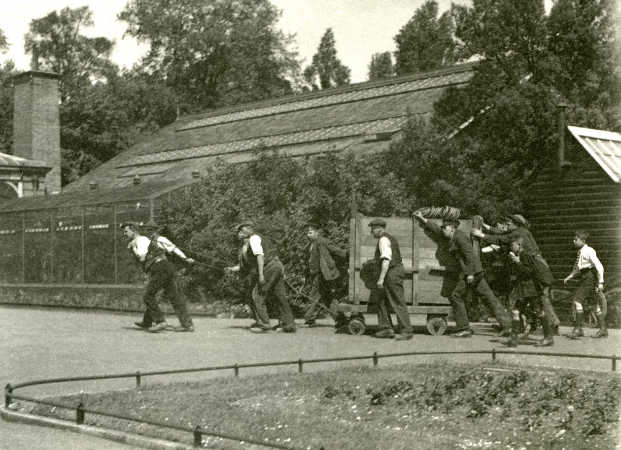 A Team of Men Moving the Leopard in a Wooden Crate, Followed by Two Boys, London Zoo, 1922 by Frederick William Bond
