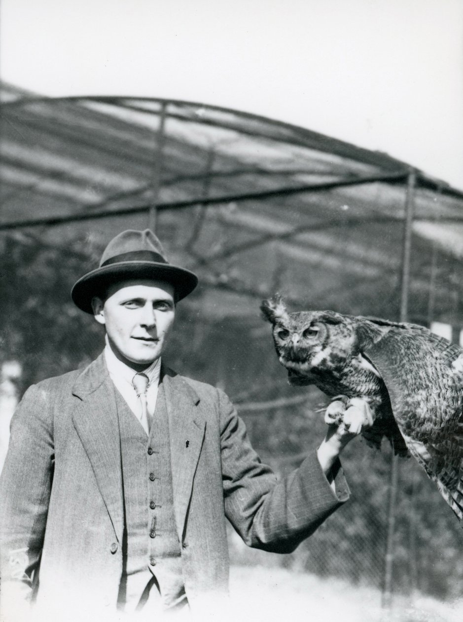 An Eagle Owl being held by J. Bailey, Overseer of Birds at London Zoo for thirty years. June 1920 by Frederick William Bond