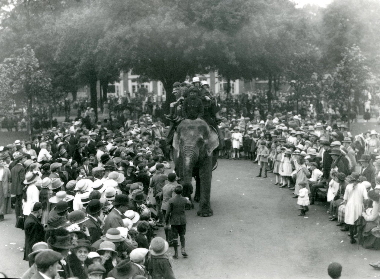 Crowds of visitors watch an elephant ride at London Zoo, August bank holiday, 1922 by Frederick William Bond