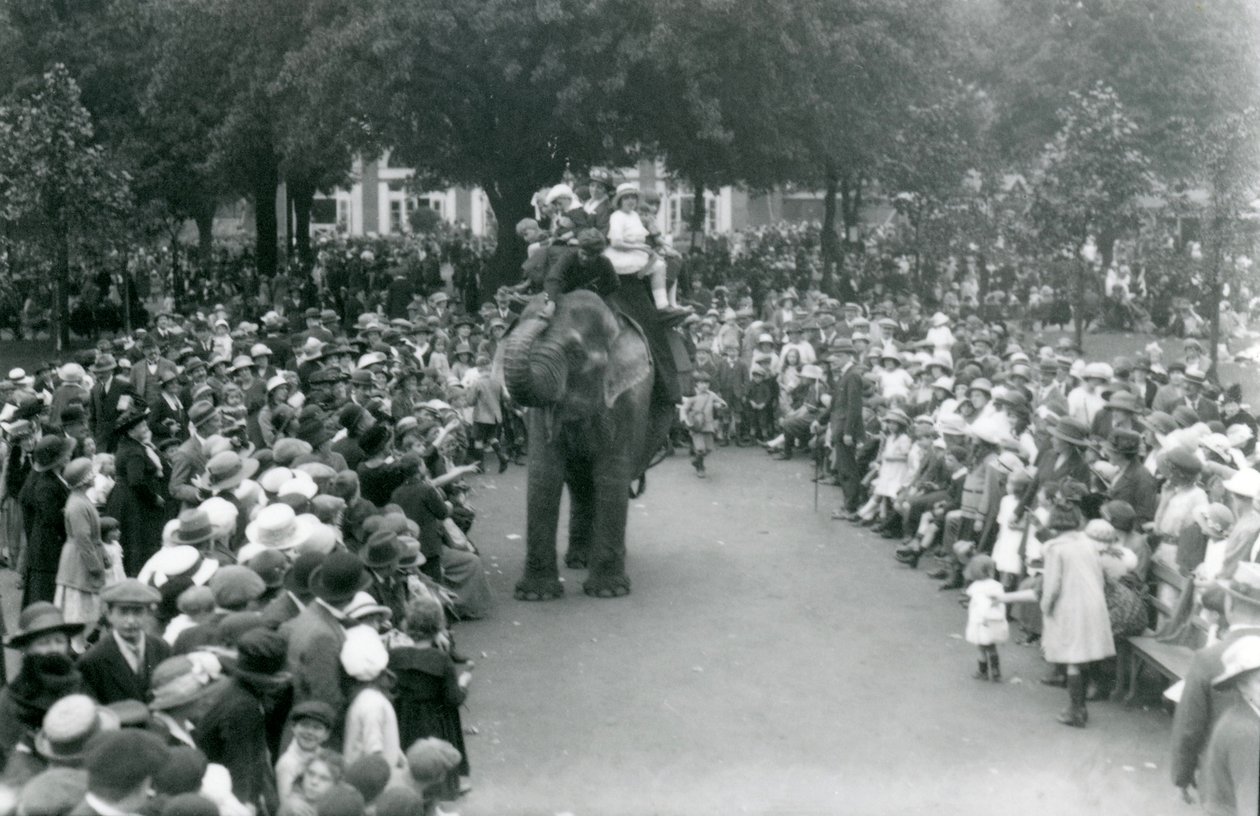 Crowds of Visitors Watch an Elephant Ride at London Zoo, August Bank Holiday by Frederick William Bond