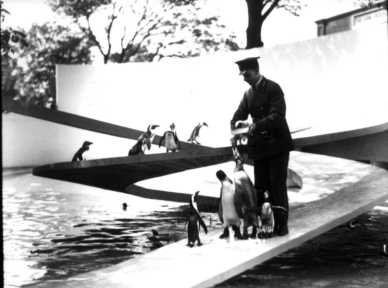 Penguin Pool by Frederick William Bond