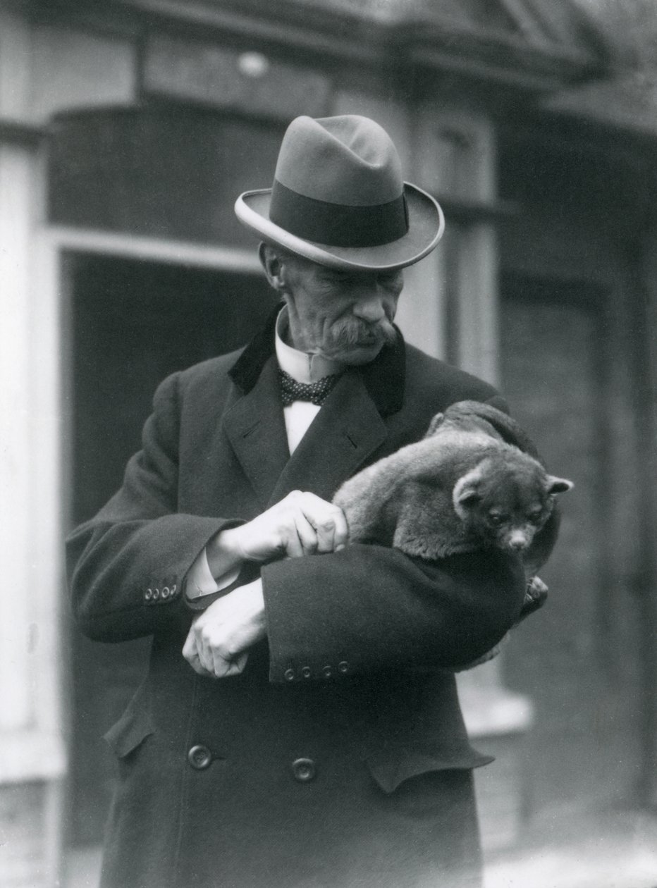 Reginald Innes Pocock F.R.S. Holding a Kinkajou, London Zoo, 1923 by Frederick William Bond