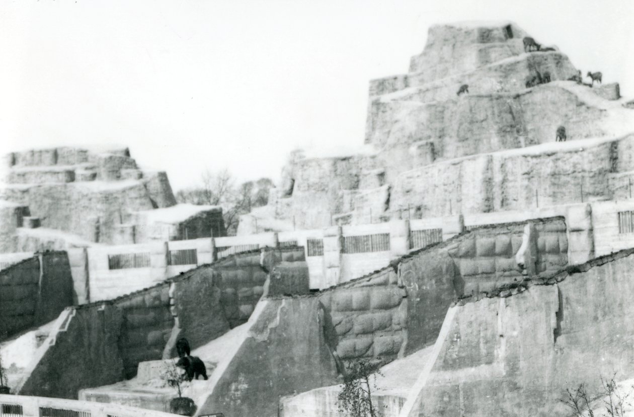 The Mappin Terraces, London Zoo, 1922 by Frederick William Bond