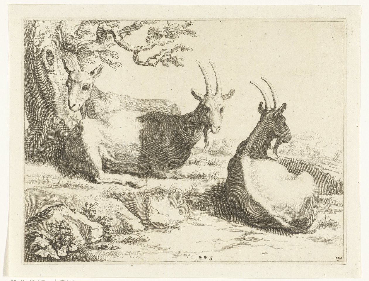 Goats The Drawing Book of Abraham Bloemaert (series title) by Frederick Bloemaert