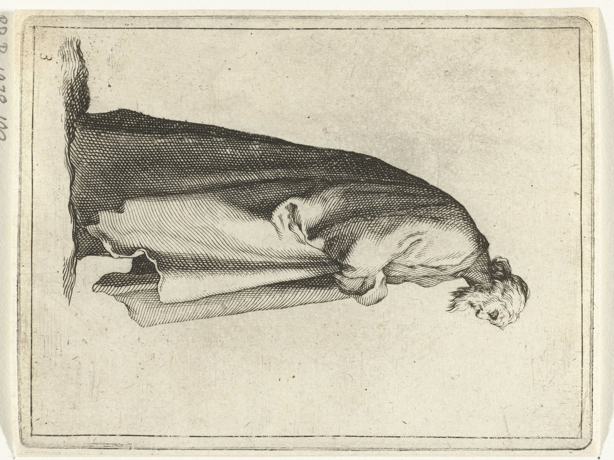 Old Man with Long Coat by Frederick Bloemaert