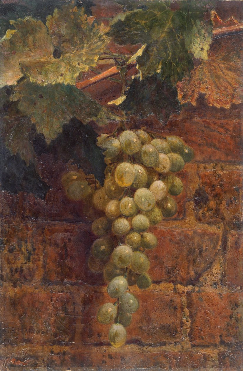 Grapes by Frederick George Harris