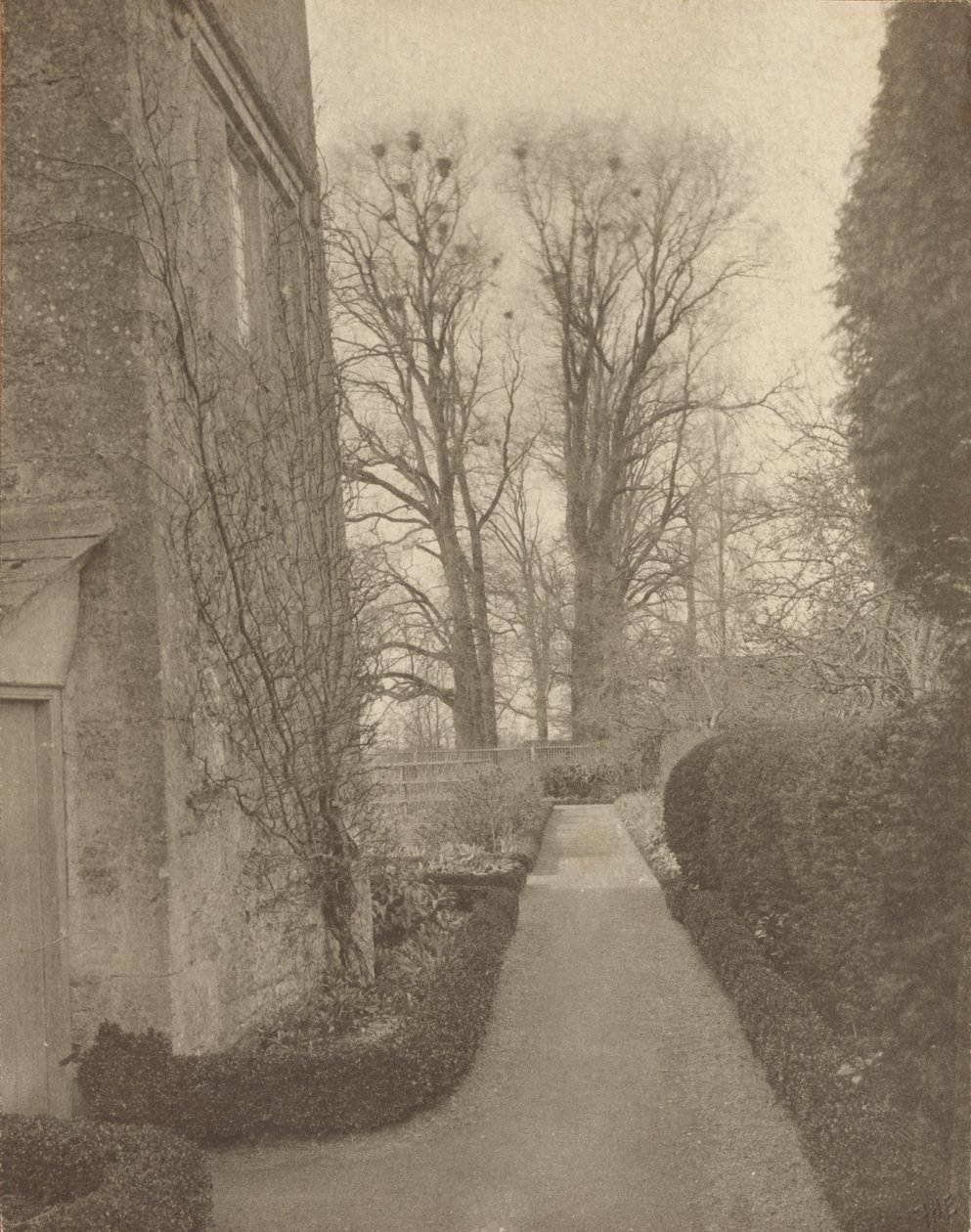 Kelmscott Manor: In the Garden by Frederick H. Evans