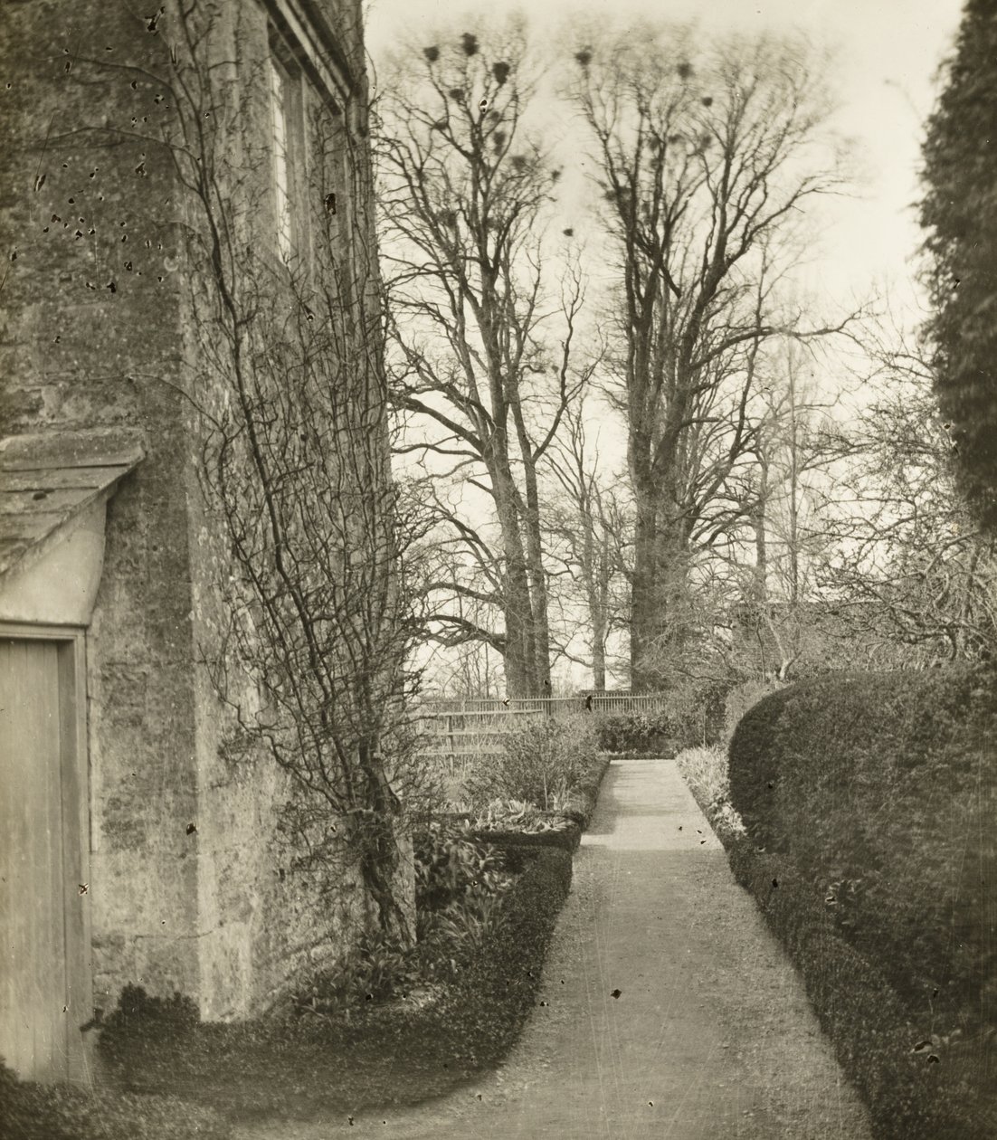 Kelmscott Manor: In the Garden by Frederick H. Evans