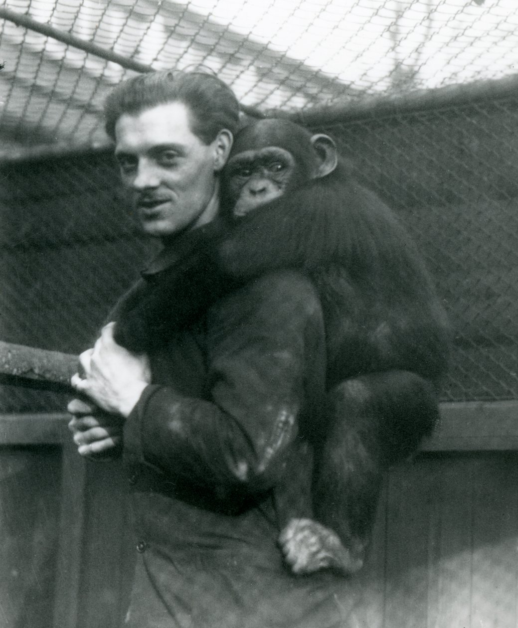 A Man Carries Chimpanzee Sally on His Back, London Zoo, 1924 by Frederick William Bond