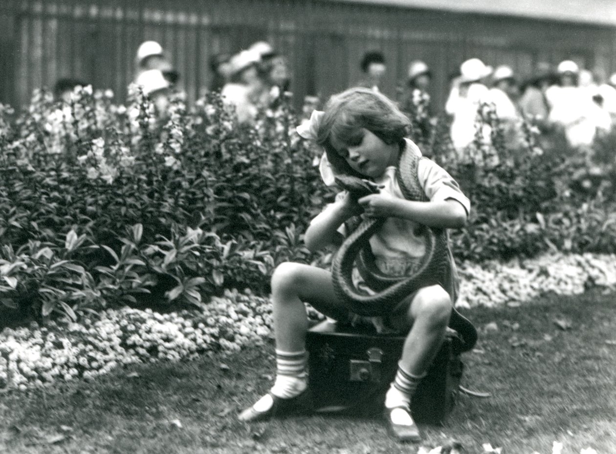 A Young Girl Betty Holding an Eastern Indigo Snake, While Sitting on a Leather Trunk, London Zoo, 1924 by Frederick William Bond
