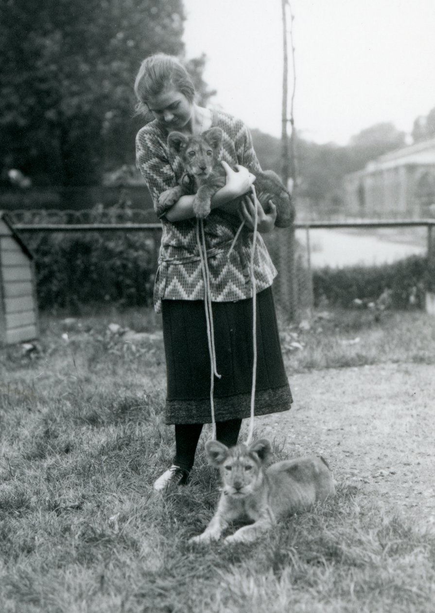 Lion Cubs with Young Woman at London Zoo, August 1925 by Frederick William Bond