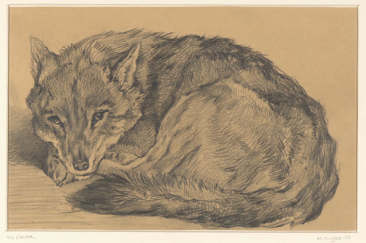 Lying Fox by Frederik Willem Zürcher
