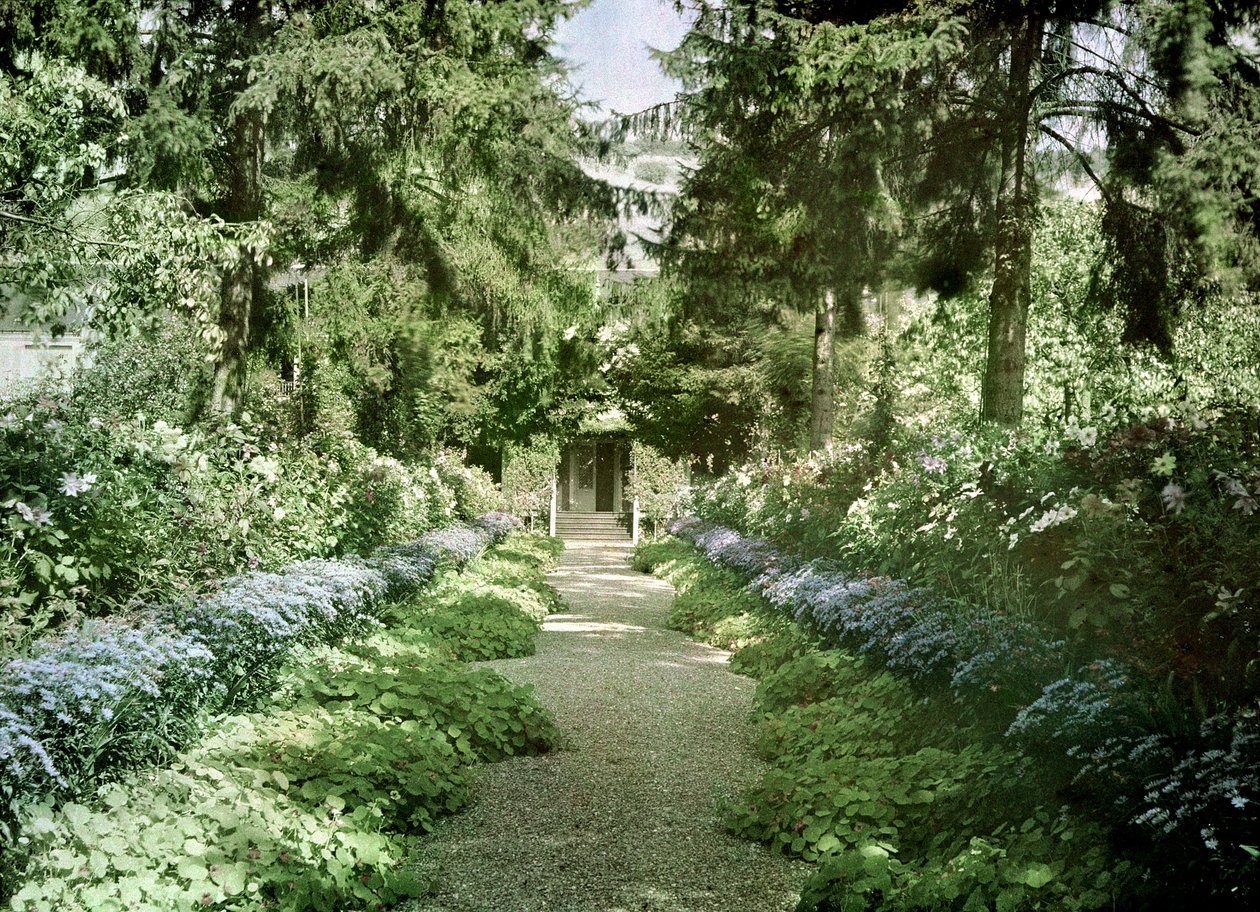 Path in Monet