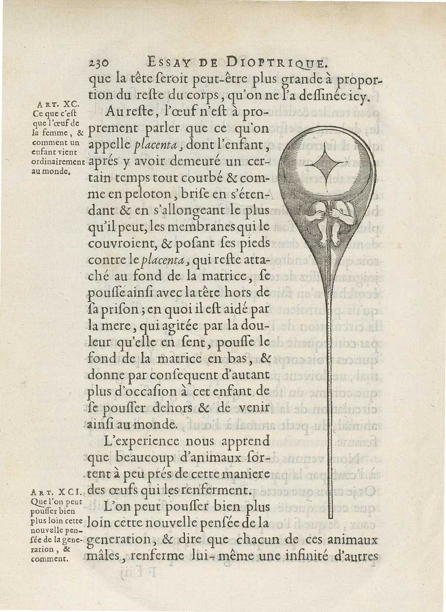 Homunculus depicted inside human sperm, from Essay de Dioptrique by Niklass Hartsoeker by French School