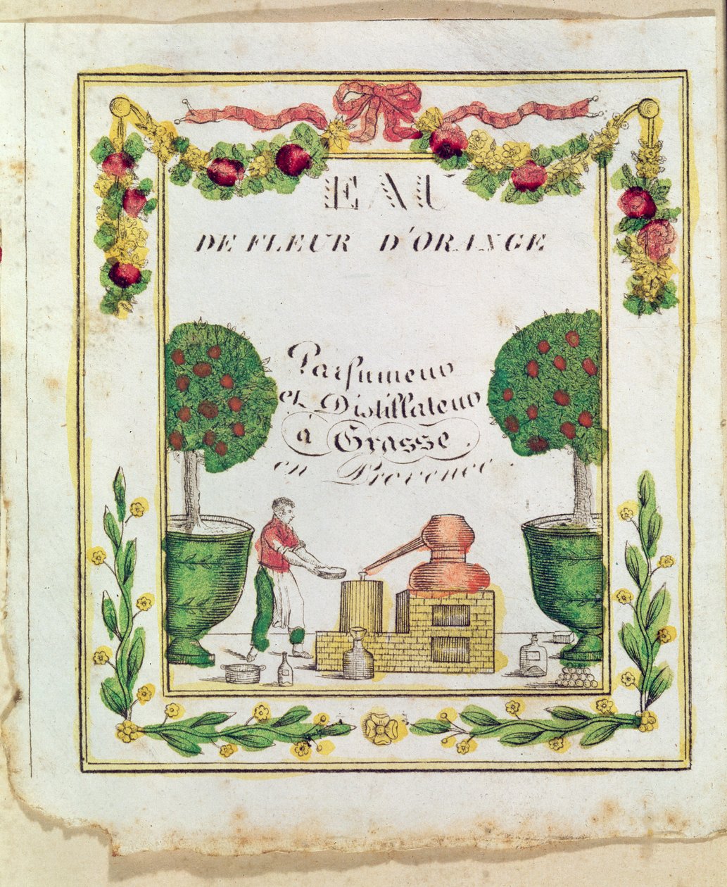 Vignette of 