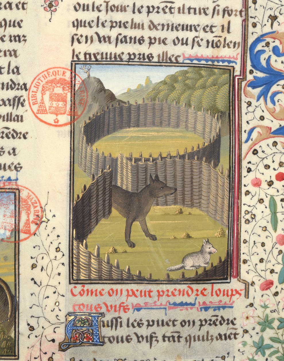Wolf About to Attack a Lamb, from the Livre de la Chasse by Gaston Phebus de Foix by French School