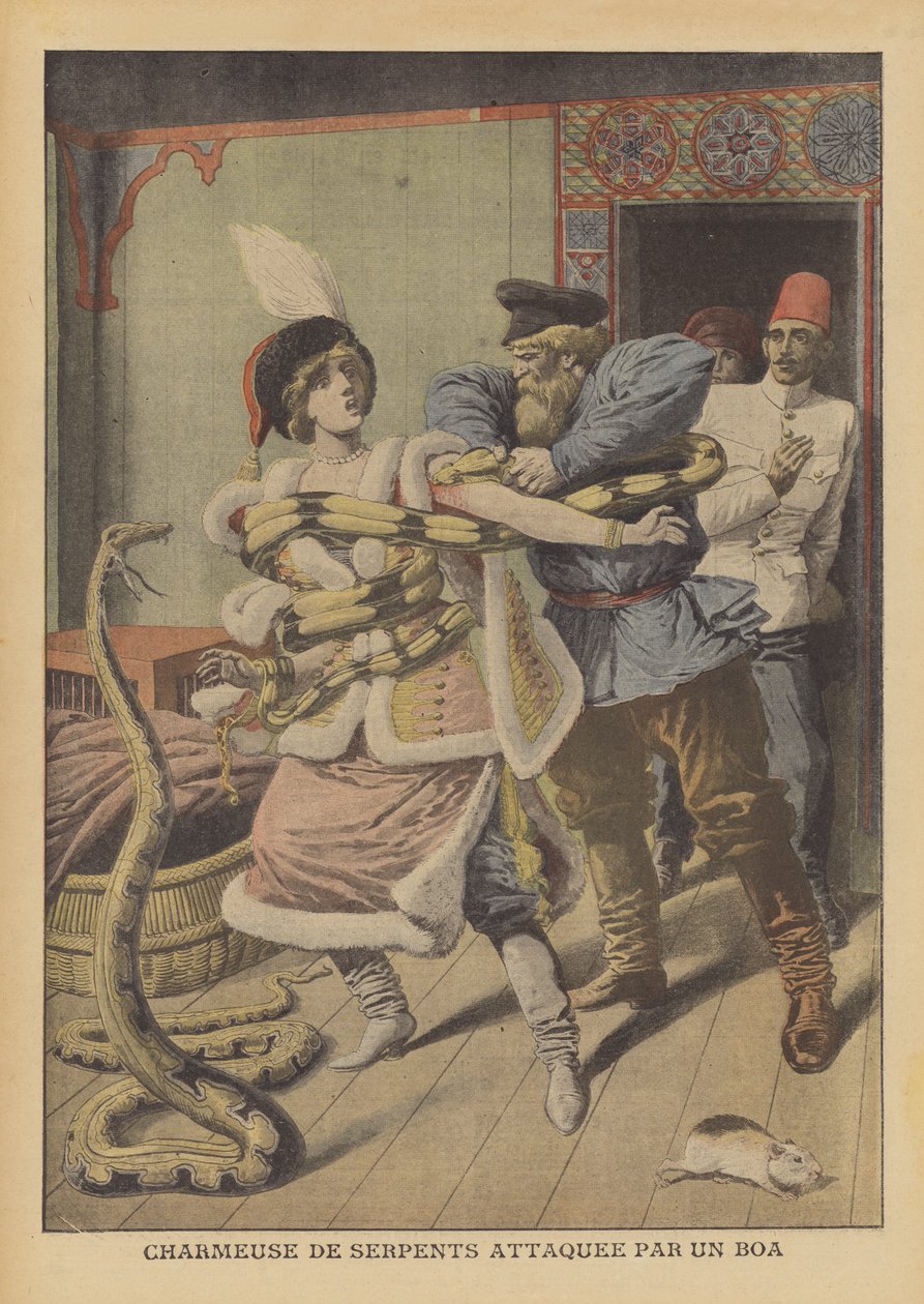 A Female Snake Charmer Attacked by a Boa Constrictor in Alexandria by French School
