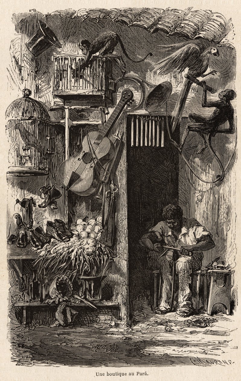 A shop at Para, illustration for Mr. Biard