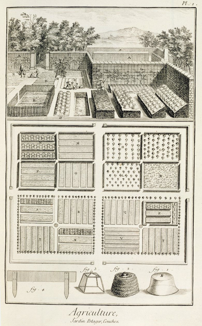 A vegetable garden, from The Encyclopedia of Science, Art and Engineering by Denis Diderot by French School