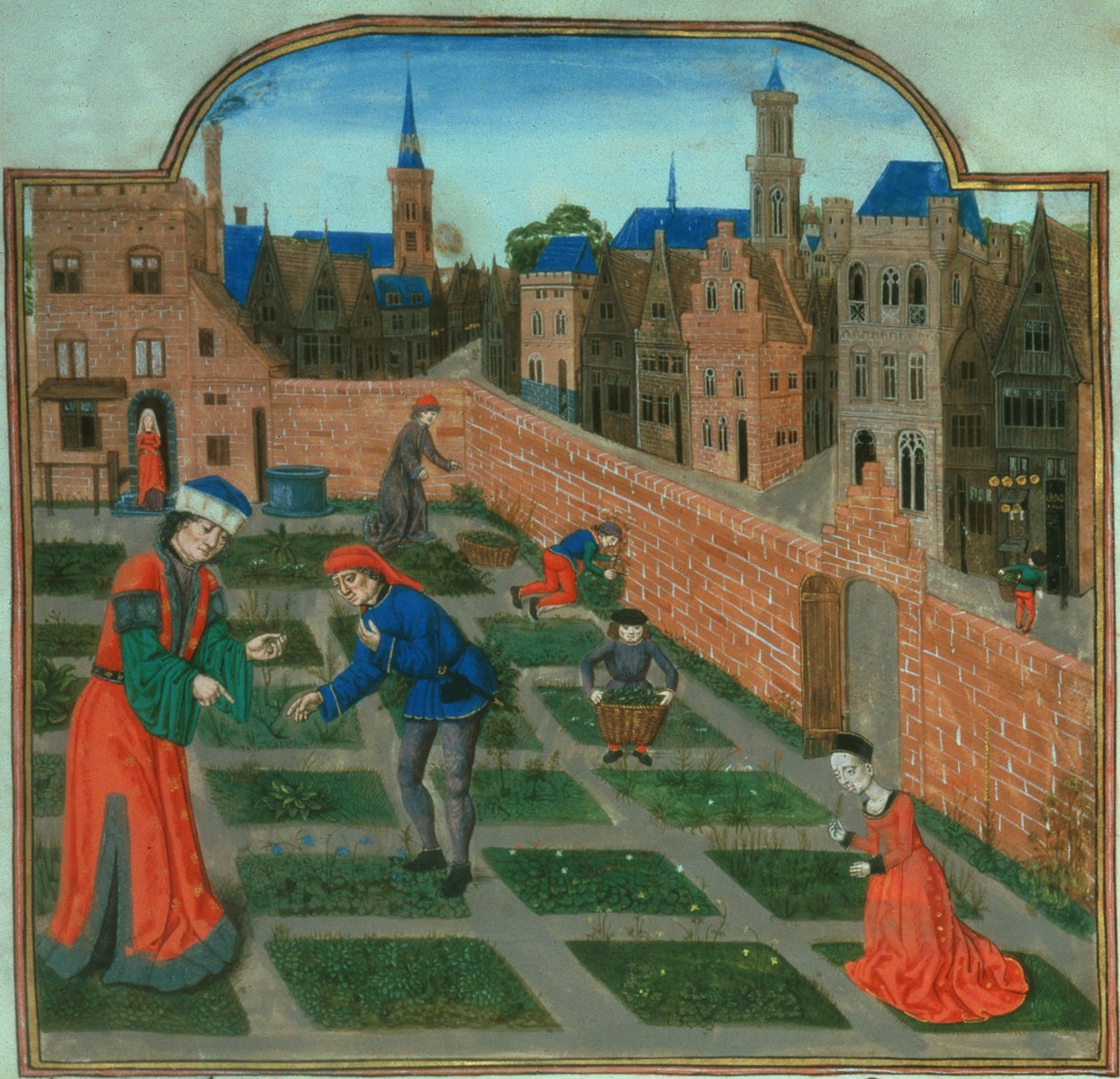 A walled town garden (from 