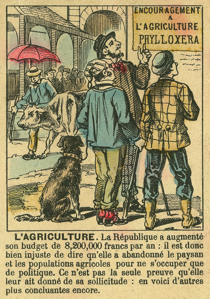 Agriculture illustrates the benefits of the Third Republic on agricultural investment and its concern for peasant populations. Engraving, in 