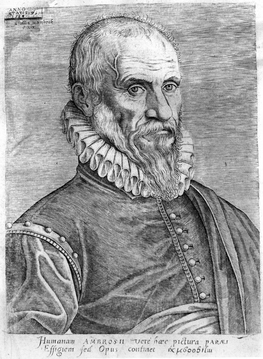 Ambroise Paré (1509-1590) by French School