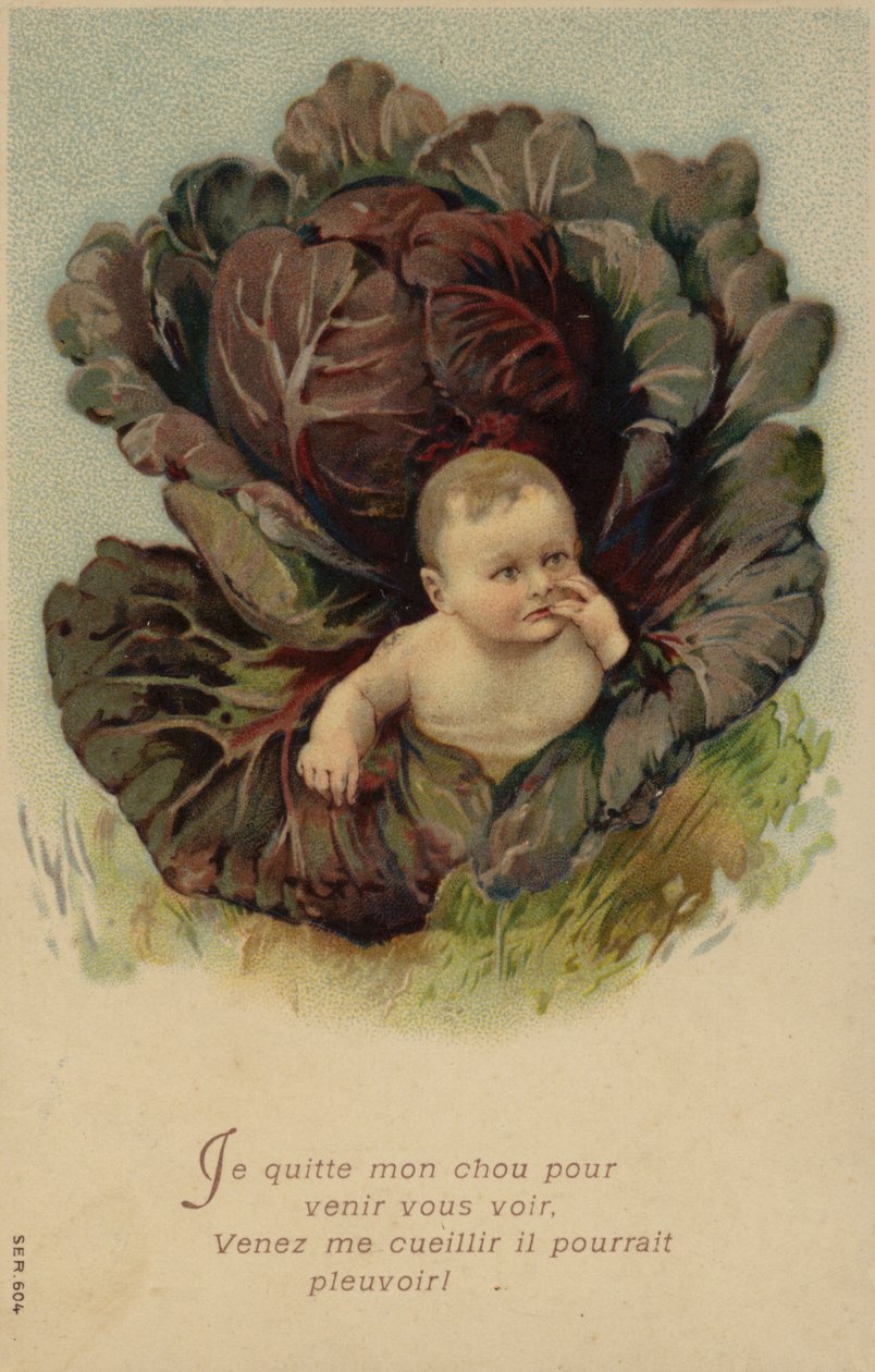 Baby Emerging from a Cabbage by French School