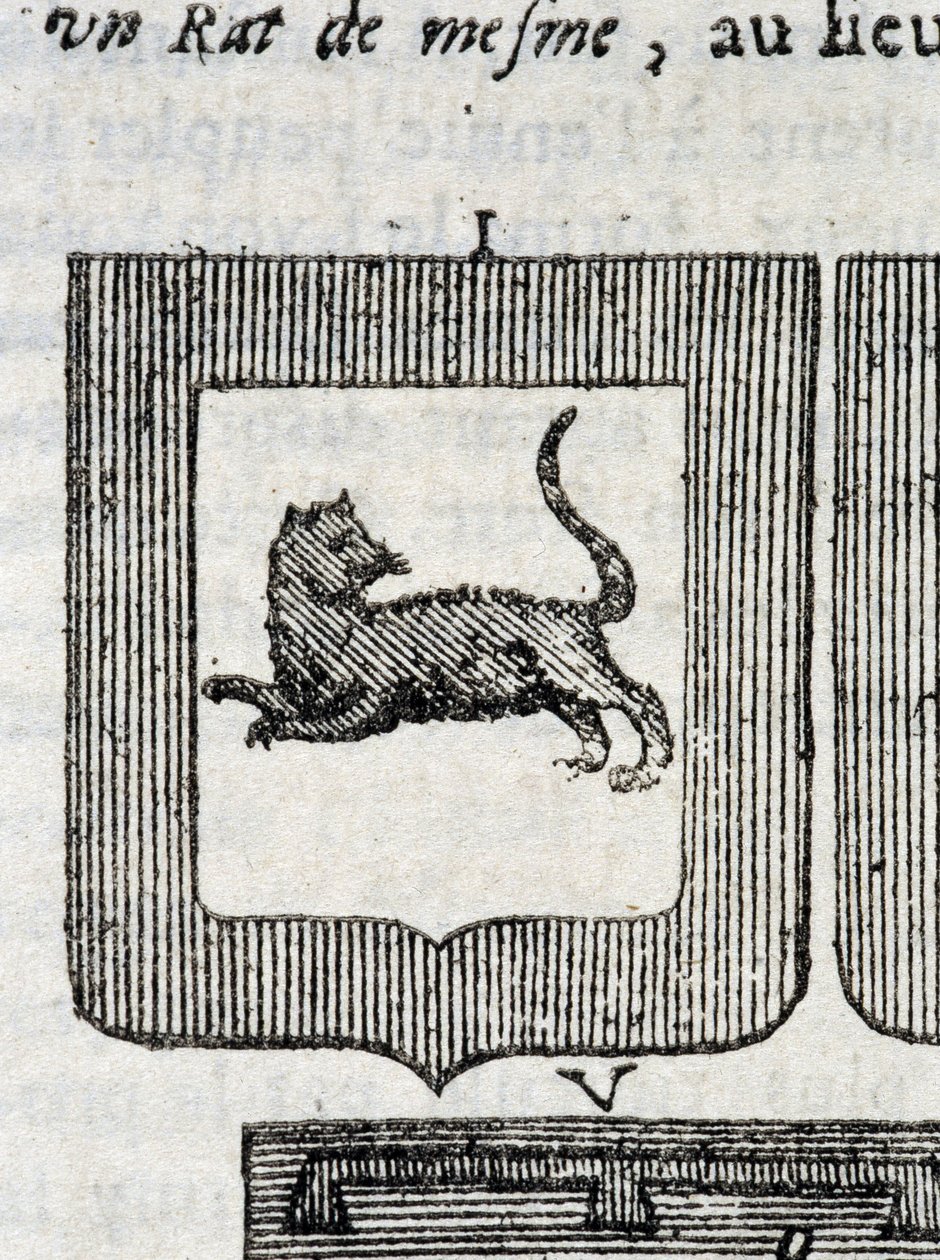 Blazon of the Italian Infantry Regiment in 