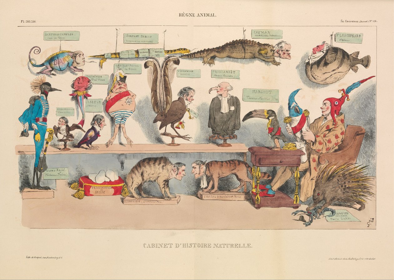 Cabinet of Natural History, from La Caricature by French School