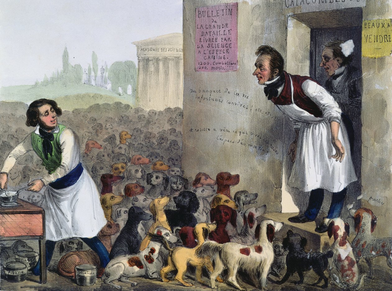 Caricature of Parisians Dealing with Rabid Dogs by French School