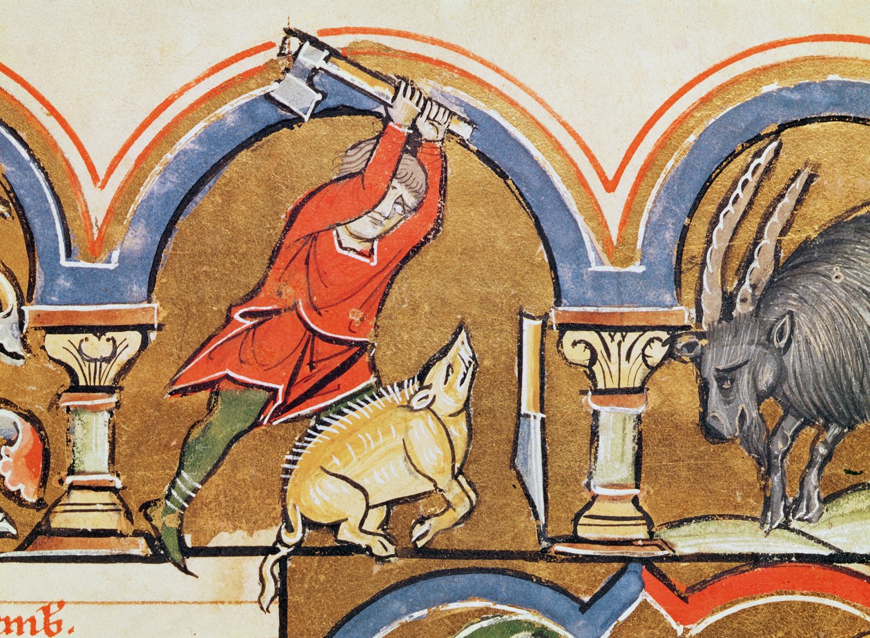 December, Sacrifice of a Pig, from the Psalter of Saint Elisabeth by French School