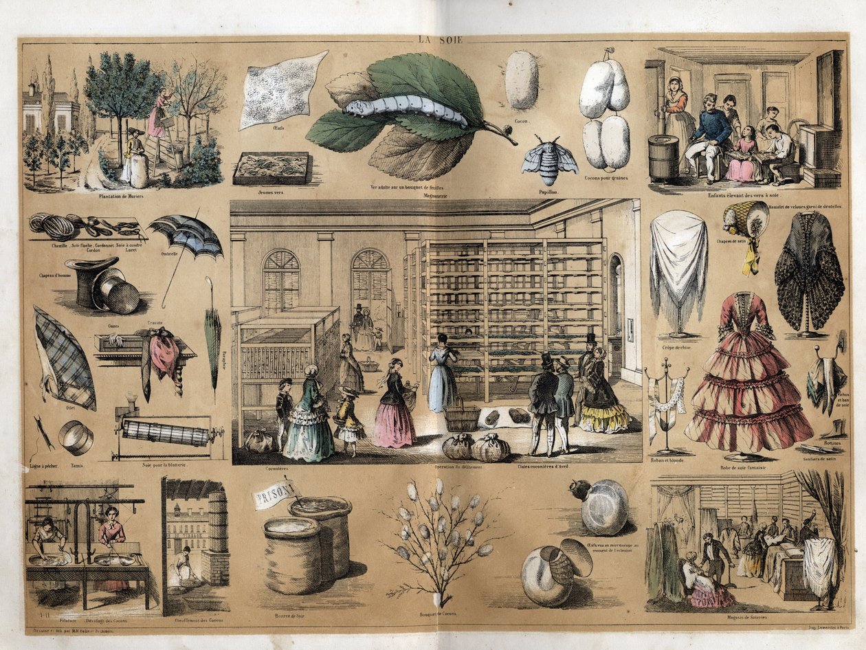 Description of culture and silk products: in the center the magnet and sericiculture. Representation of the manufacture of silk since the planting of the walls, the breeding of silkworms, the work of the spinning and the silk shops. Plate 