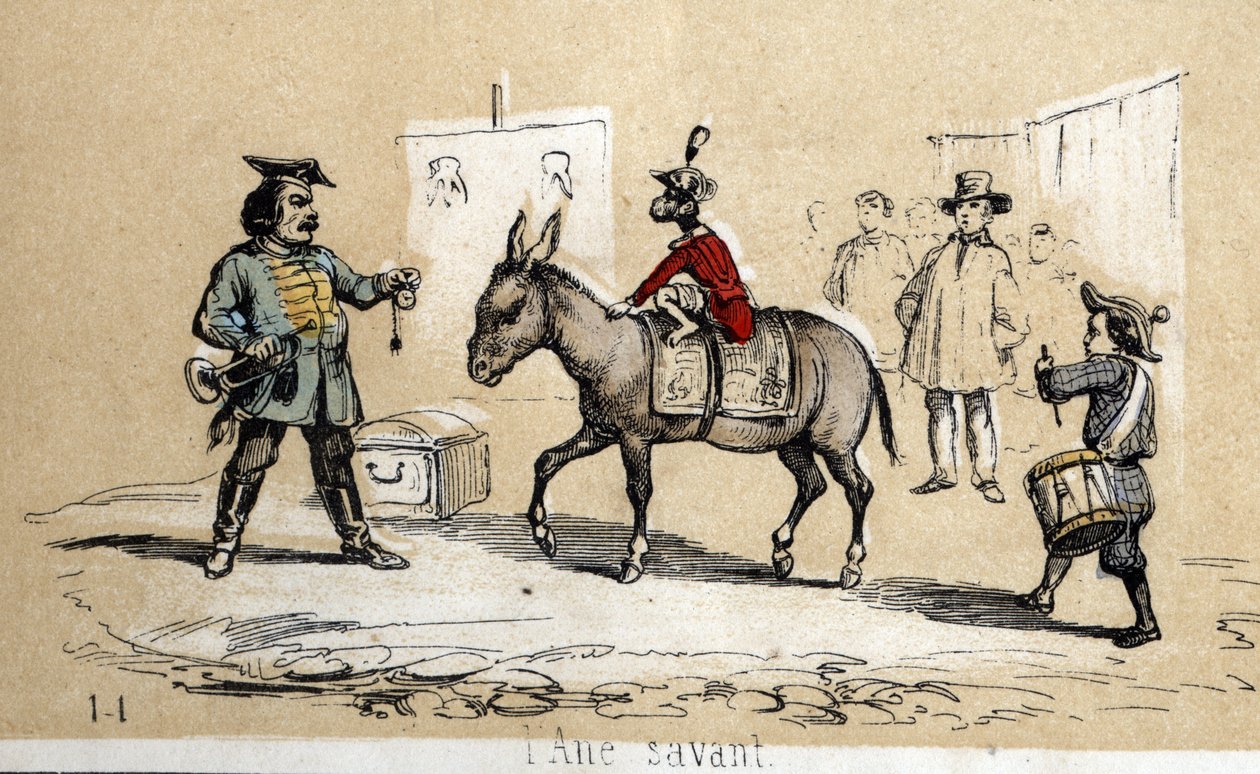 Description of different products and uses of donkey: the learned donkey is used by circus artists. Plate 