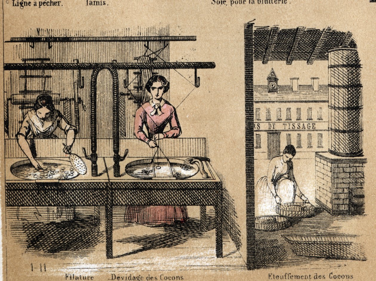 Description of the crop and silk products: workers spinning silk, removing or smothering cocoons. Plate 