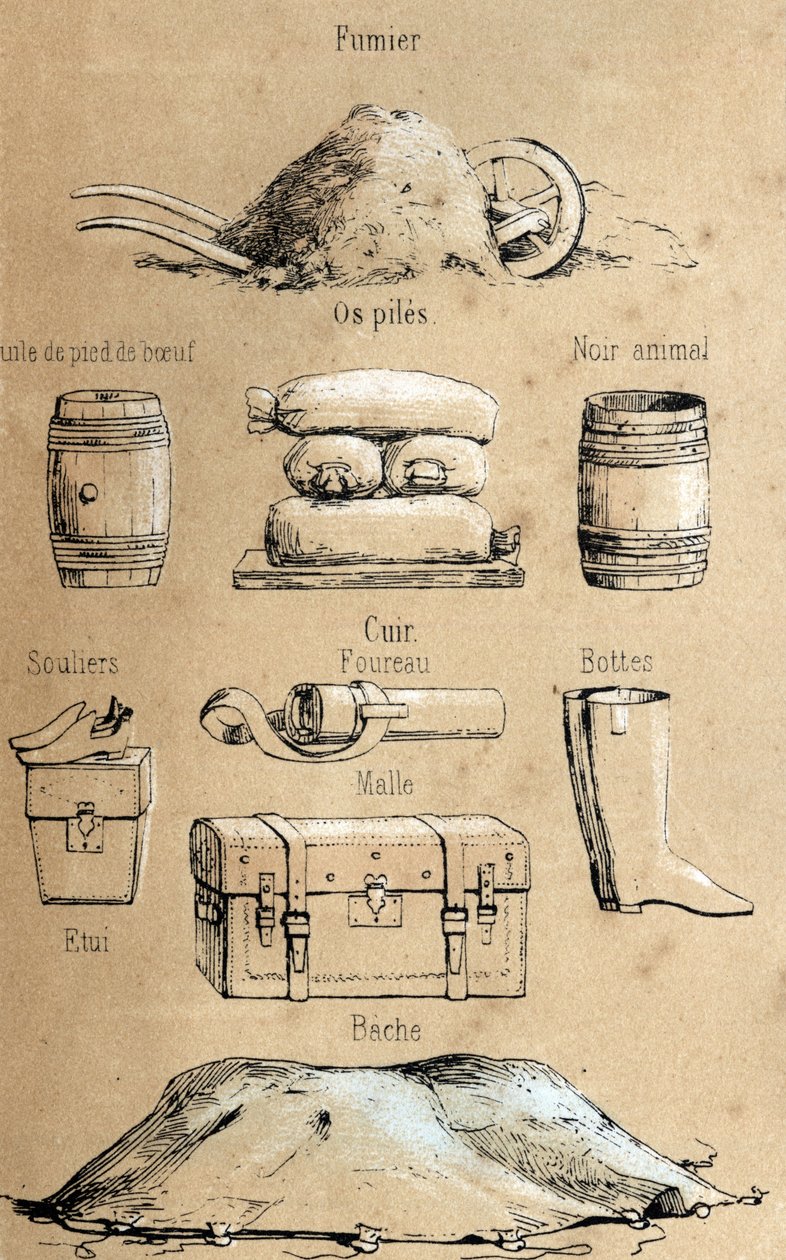 Description of the various products and uses of cow: all kinds of objects made from cow (beef foot oil, leather objects, manure). Plate 