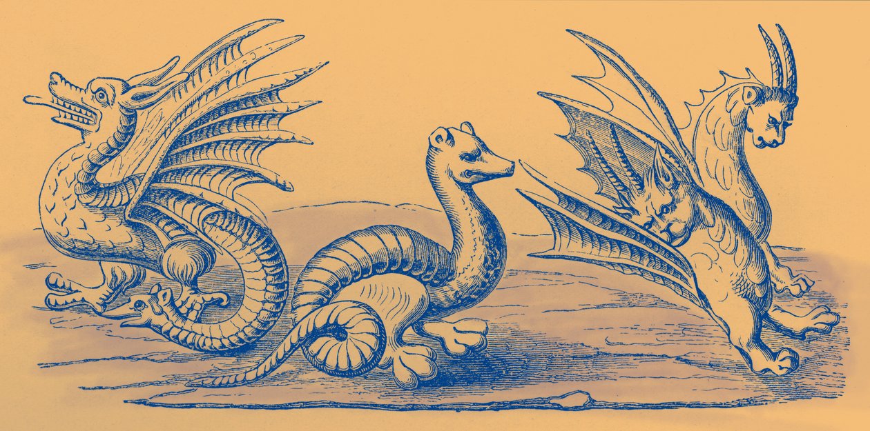 Dragons by French School