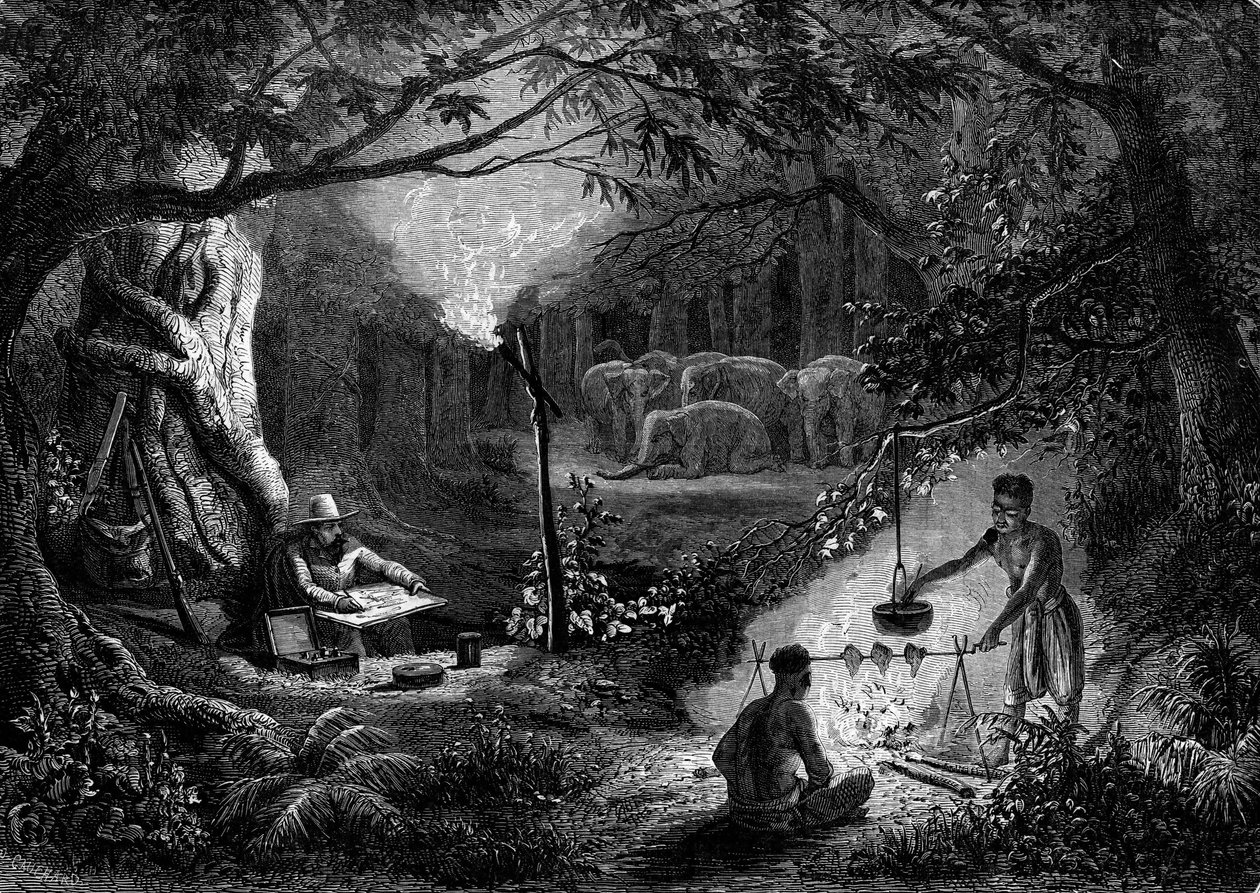 Drawing: a traveller drawing a scene of morals by the glow of a torch. Engraving in 